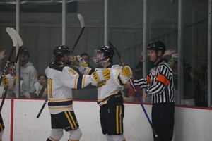 Image post by @MizzouHockey on Twitter