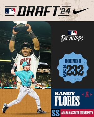 Image post by @mlbdevelops on Instagram