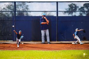 Image post by @mlb.mini on Instagram