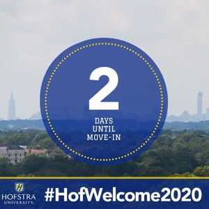 Image post by @hofstrau on Instagram