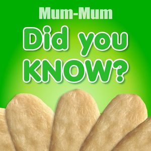 Image post by @babymummums on Instagram