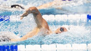 Image post by @IndianaSwimDive on Twitter