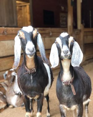 Image post by @nationalparkservice on Instagram