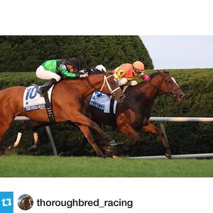 Image post by @margaux.farm on Instagram