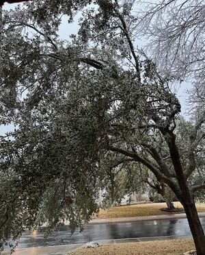 Image post by @kens5 on Instagram