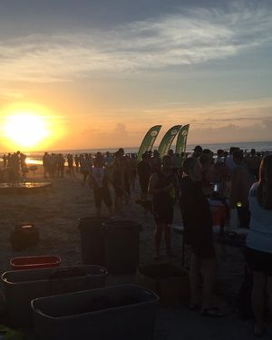 Image post by @kiawahresort on Instagram