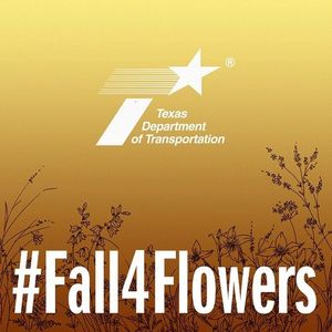 Image post by @txdot on Instagram