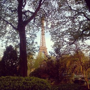 Image post by @alizelim on Instagram