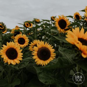 Image post by @tourismabbotsford on Instagram