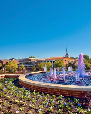 Image post by @highpointu on Instagram