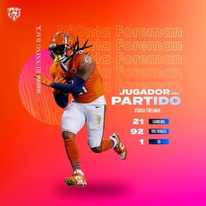 Image post by @bears_es on Instagram