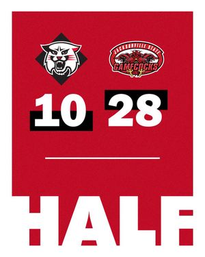 Image post by @davidsonfb on Twitter