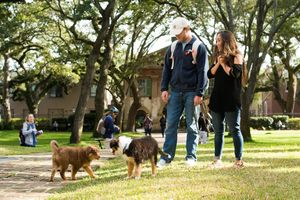 Image post by @collegeofcharleston on Instagram