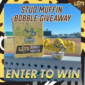 Image post by @rumbleponiesbb on Instagram