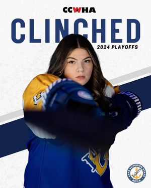 Image post by @lakestatewomenshockey on Instagram