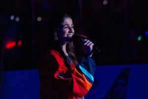 Image post by @theahl on Instagram