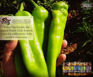 Image post by @505southwestern on Instagram