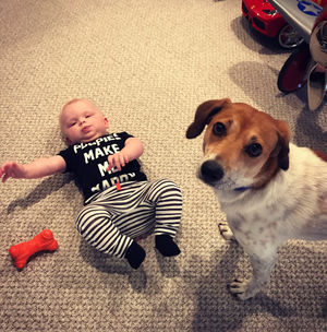 Image post by @laraleatrump on Instagram