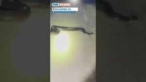 Video post by @foxweather on YouTube