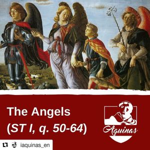 Image post by @angelicumop on Instagram
