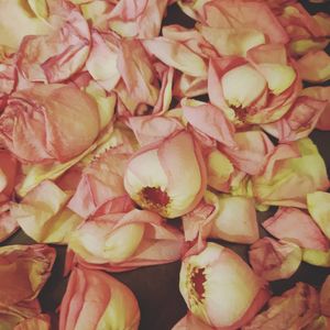 Image post by @hollysmee on Instagram