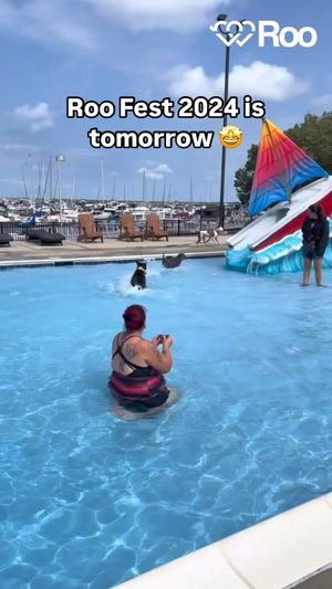 Video post by @LiveLikeRoo on Facebook