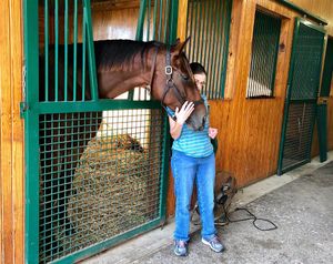 Image post by @spendthriftfarm on Instagram