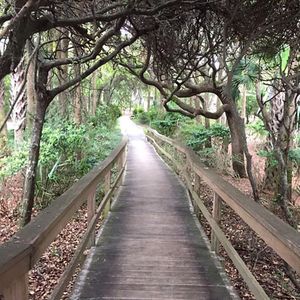 Image post by @kiawahresort on Instagram