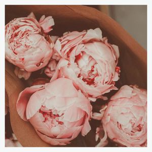 Image post by @paigeb on Instagram