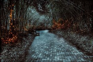 Image post by @jackportunephotography on Instagram