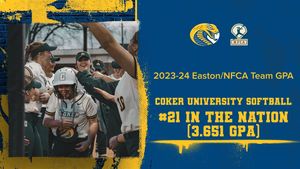 Image post by @cokercobras on Instagram