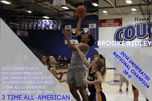 Image post by @ladycougbball on Instagram