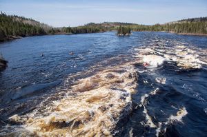 Image post by @nicktroutmankayak on Instagram