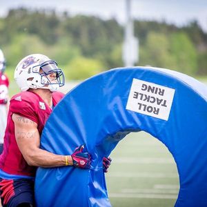 Image post by @mtlalouettes on Instagram