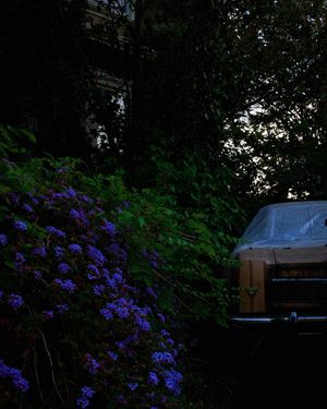 Image post by @richtapess on Instagram
