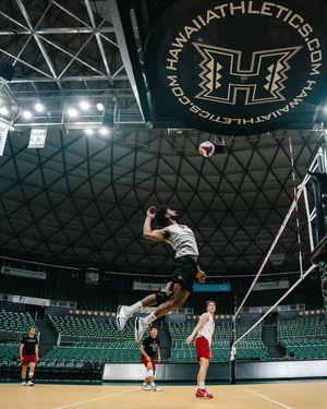 Image post by @harvardmvball on Instagram