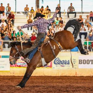 Image post by @ariannagrainey on Instagram