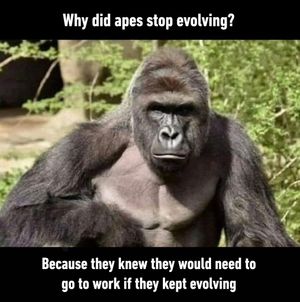 Image post by @9gag on Instagram