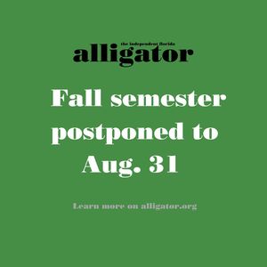 Image post by @thealligator_ on Instagram