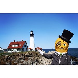 Image post by @mrpeanutofficial on Instagram