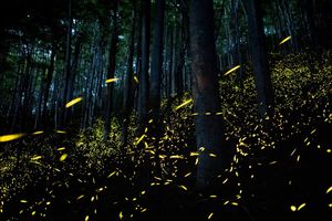 Image post by @natgeo on Instagram