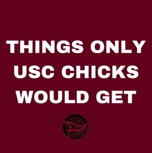 Image post by @southcarolinachicks on Instagram