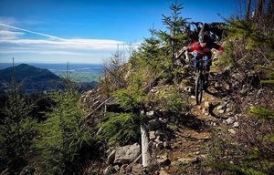 Image post by @tourismabbotsford on Instagram