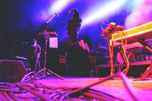 Image post by @treefortfest on Instagram