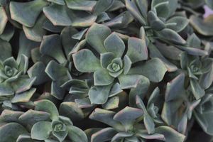 Image post by @djs_photo_lens on Instagram