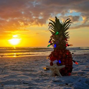 Image post by @visitsarasotacounty on Instagram