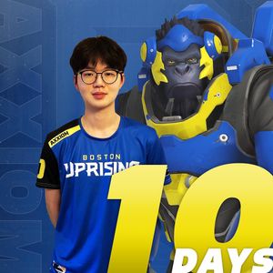 Image post by @bostonuprising on Instagram