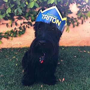 Image post by @ucsdadmissions on Instagram