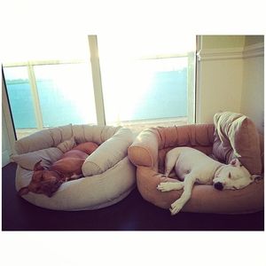 Image post by @manningsumner on Instagram