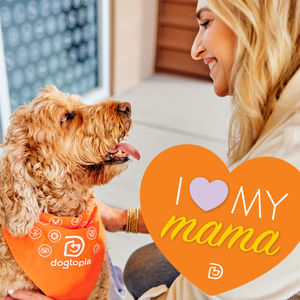 Image post by @dogtopiagr on Instagram